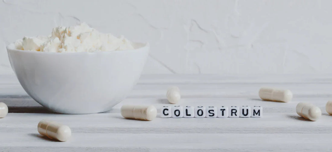 Bovine colostrum powder and capsules, with the word “Colostrum” on a light background